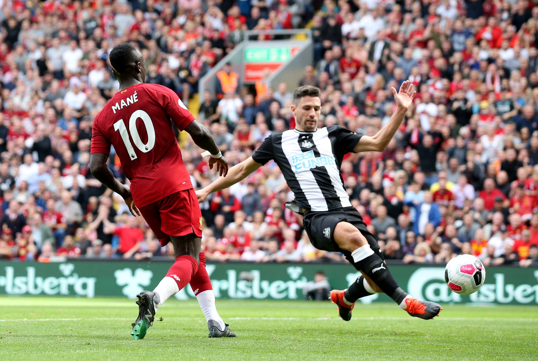 在一个新的 在一个新的